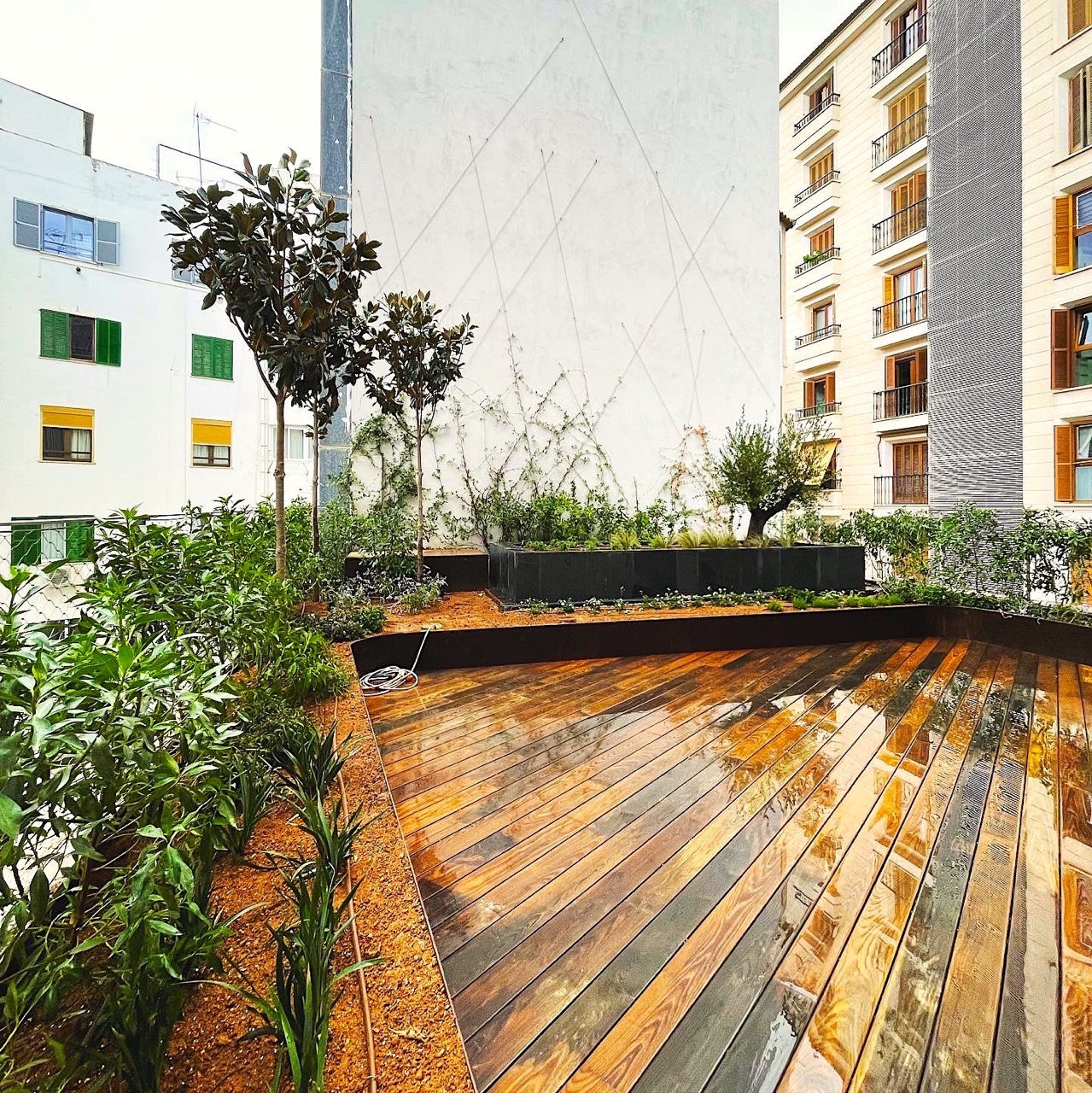 Mediterranean garden landscape architecture project