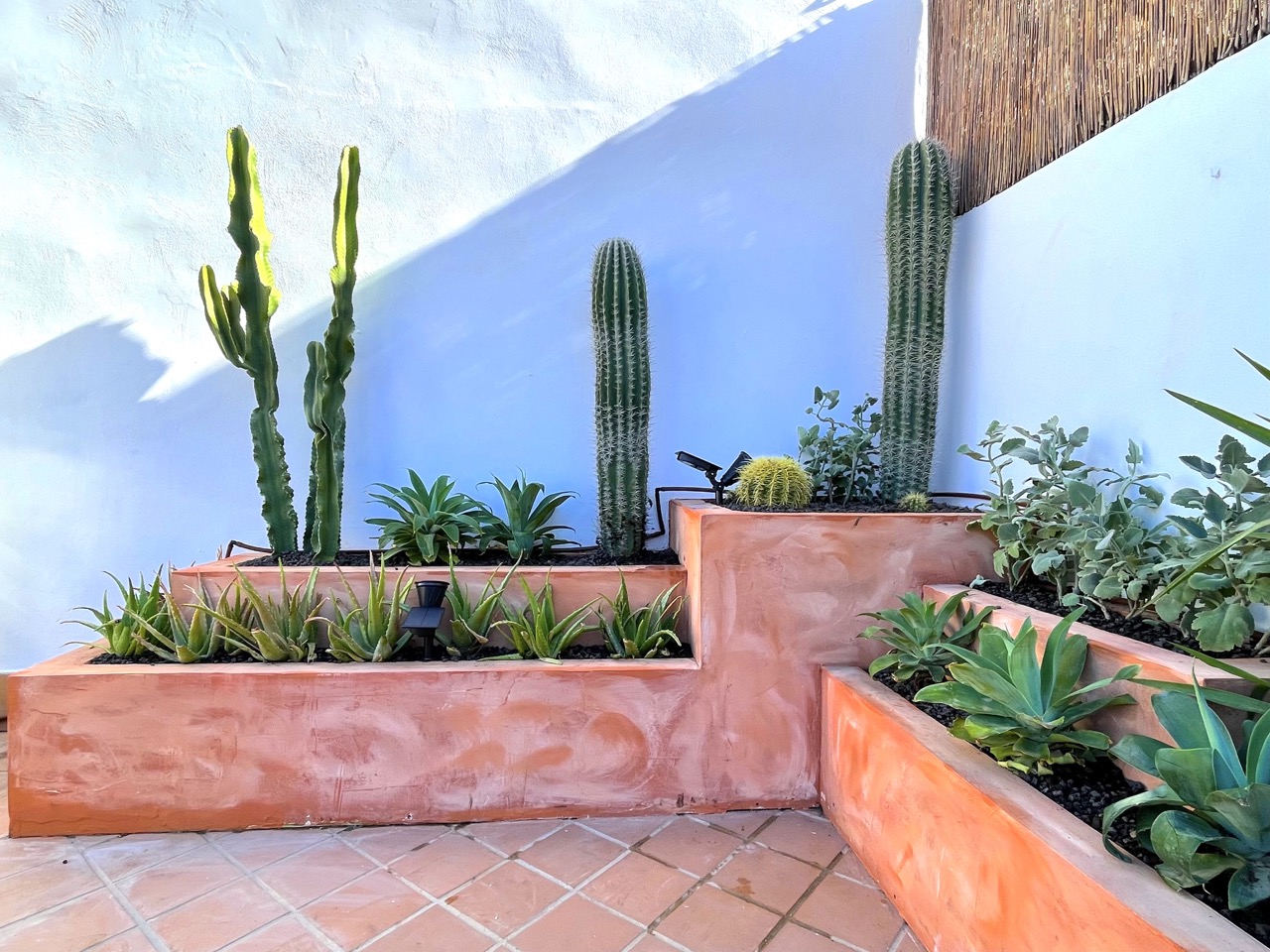 Residential garden design and planting plan