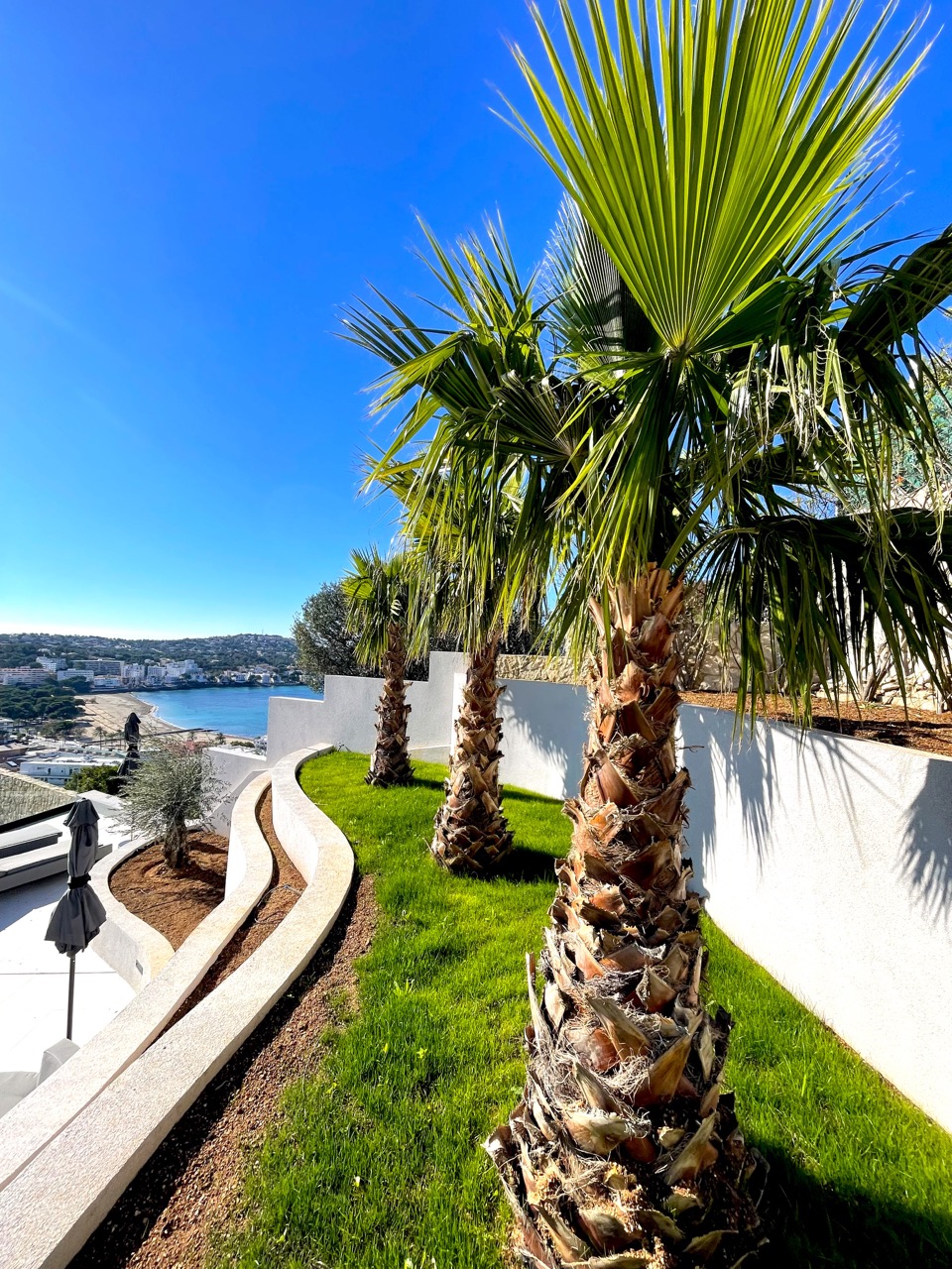 Landscape architecture project with terracing