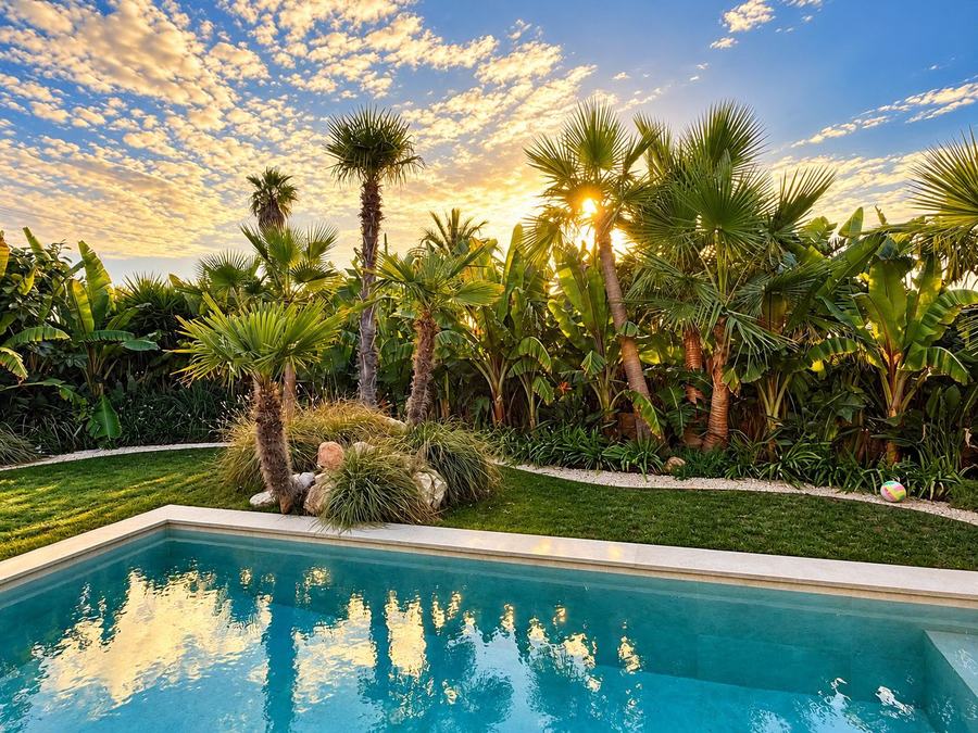 Tropical garden with pool, palms and curved lawn designed by Santillán Design in Mallorca